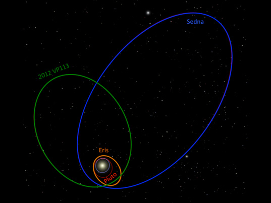 sedna orbit