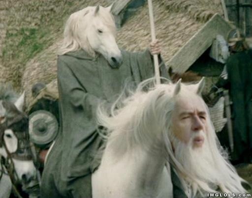 horse-gandalf-lord-of-the-rings-meme