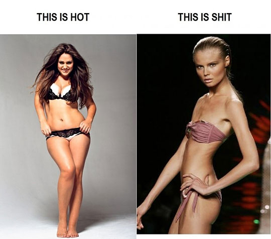 funny-skinny-thin-model-vs-chubby-girl