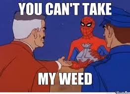 Ohspidermanpieceofshitfuckingstoner 546b