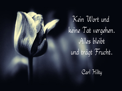 carl-hilty