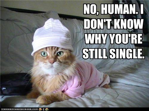 Bilder-Thread tefCsOR funny-pictures-no-human-i-dont-know-why-