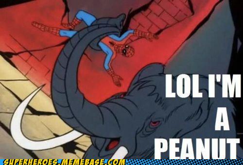 Bilder-Thread superheroes-batman-superman-elephant