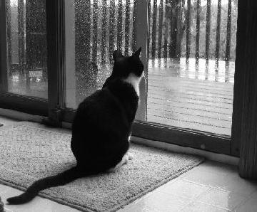 Bilder-Thread teop1F5 thvtCN melancholie