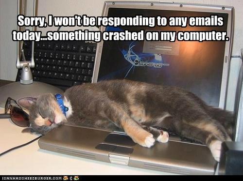 Bilder-Thread tepnEpX funny-pictures-sorry-i-wont-be-respondin