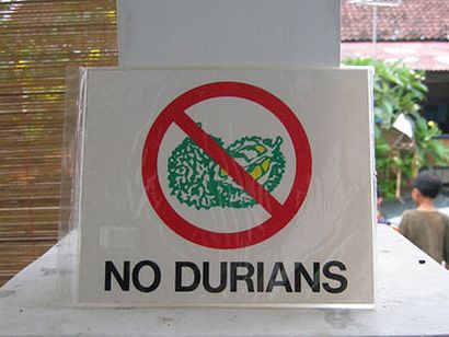 hGyPIH durian bisku