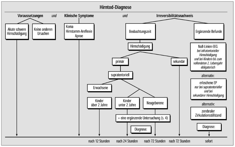 7eac29 Hirntod