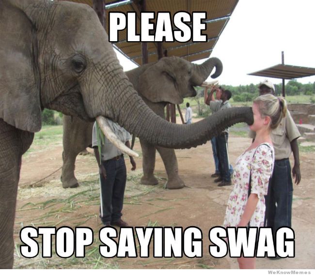 please-stop-saying-swag
