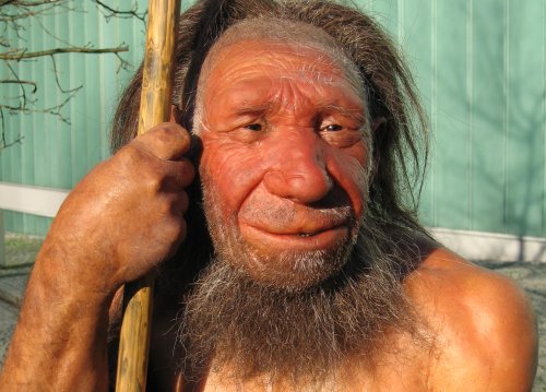 neandertaler kl