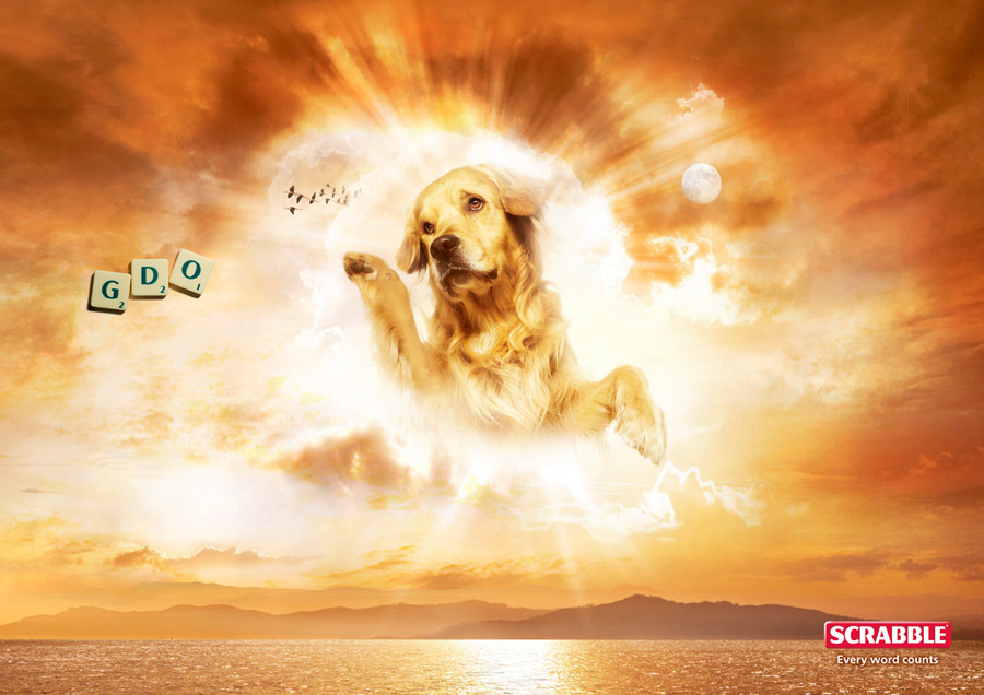 Bilder-Thread dog-god