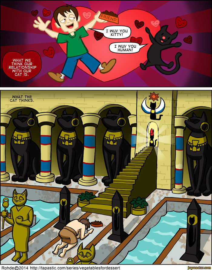 Bilder-Thread people-cats-relationship-comic-1250130.jpeg