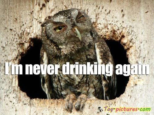 Bilder-Thread owl-images-quotes