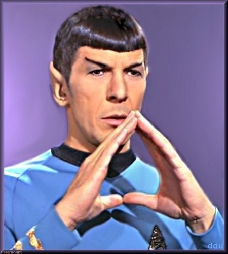 Spock-mr-spock-12756094-450-500
