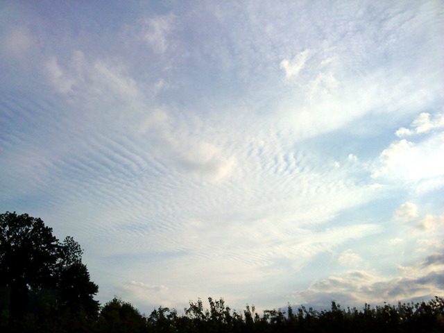 cirrocumulus undulatus 6