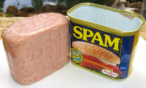 spam can open