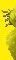 38478f GELB4