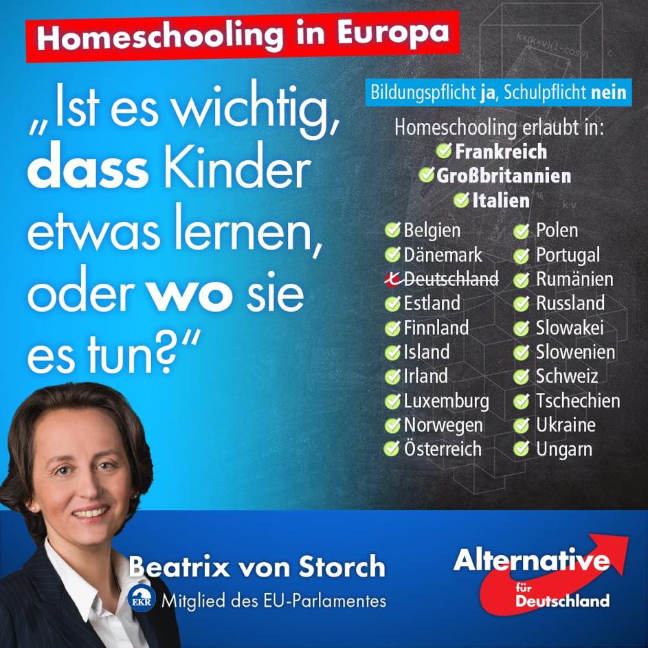 Homeschooling-Europa-AfD-k