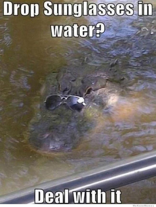 drop-sunglasses-in-water-deal-with-it