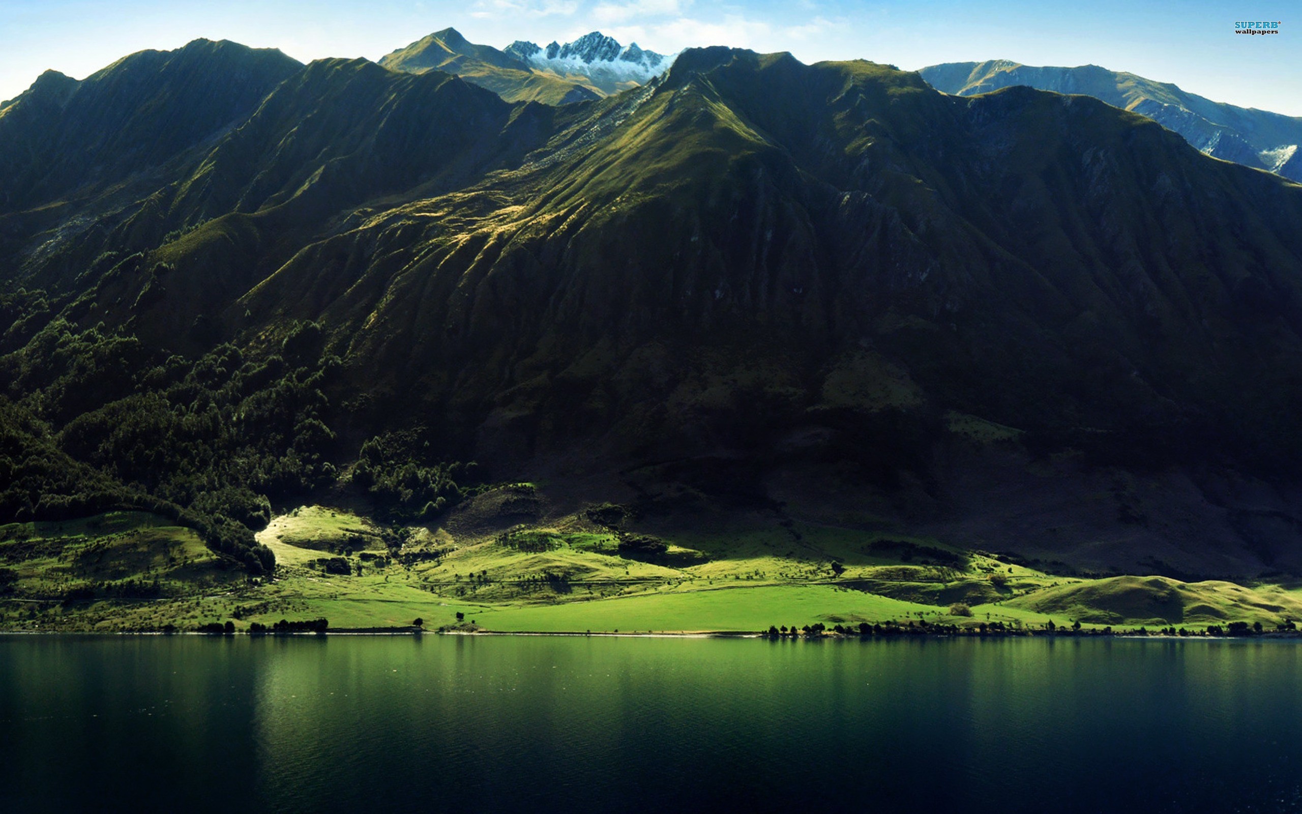 Bilder-Thread wallpaper-2490835
