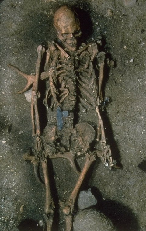 skeleton