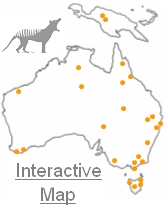 interactive map