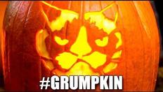 Grumpy Cat meets Grump O Lantern 1970068