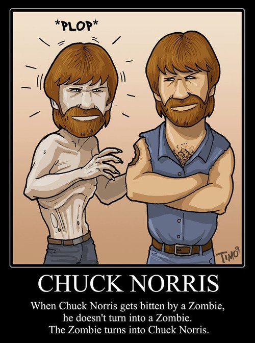 2558195-one-and-only-chuck-norris16