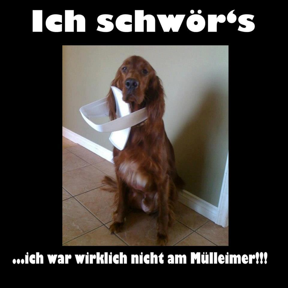 Bilder-Thread ee788b 9352 469460016452652 491337889 n