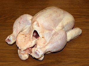 300px-Suppenhuhn