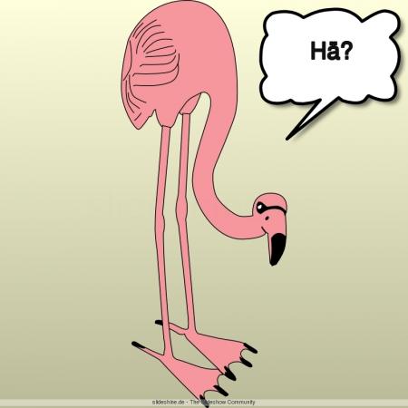9630-Flamingo neugierig interessiert HC3