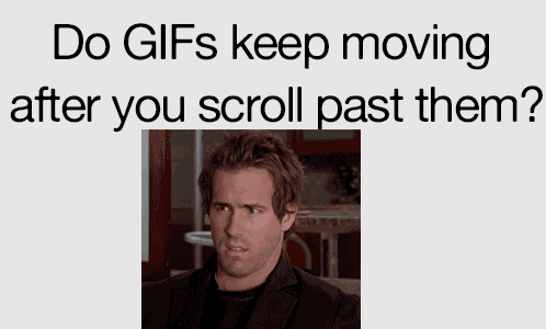 You-Stupid-GIF-Image-for-Whastapp-and-Fa