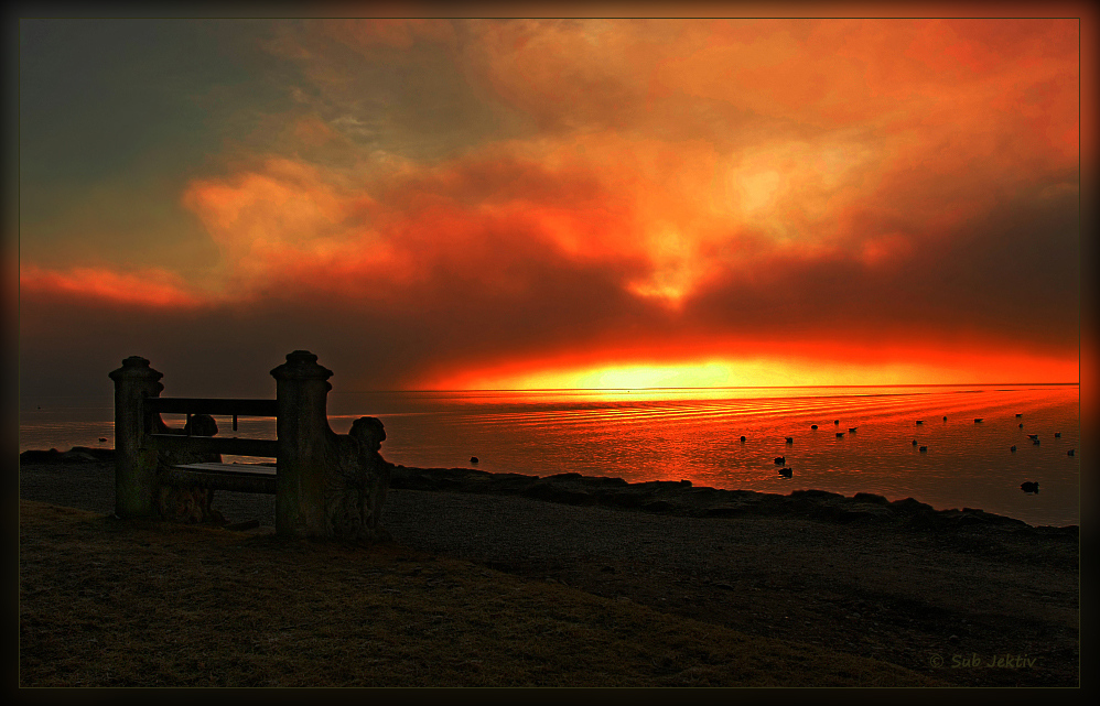 Bilder-Thread erwachen-04fff2d3-3d03-4d0d-85eb-17d1d0a