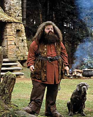 Hagrid l