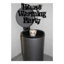 ferret in trashcan house warming party i