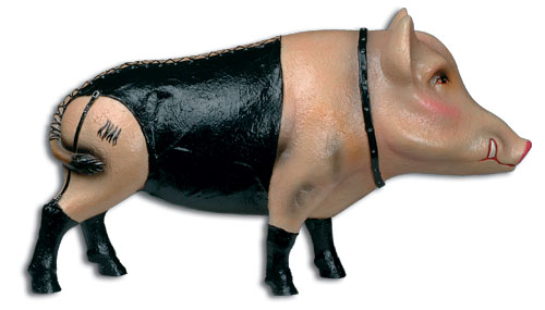 schwein-domina