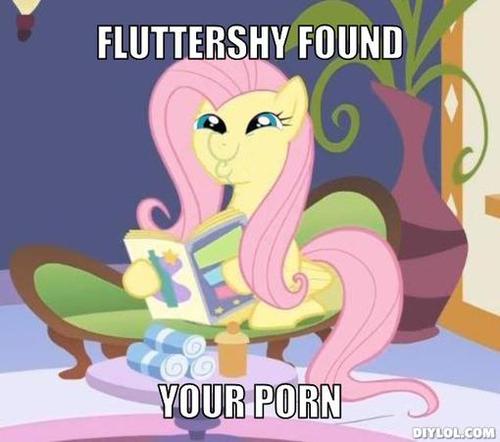 fluttershy-found-it-meme-generator-flutt