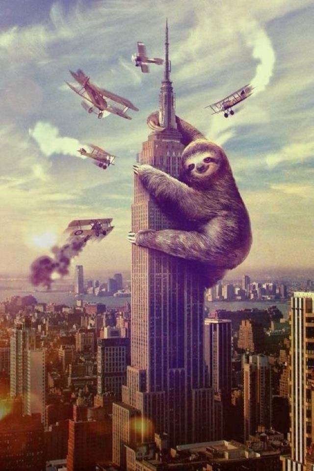 KingSloth.onlytripscandefeatit d6c6ac 44