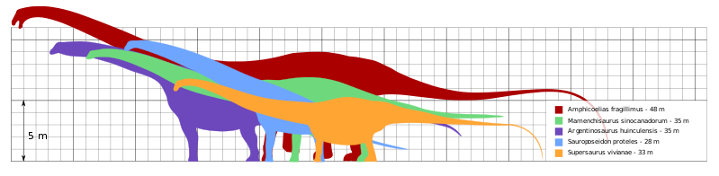 799px-Longest dinosaurs.svg