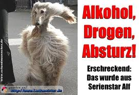 Bilder-Thread 70be0c alf1
