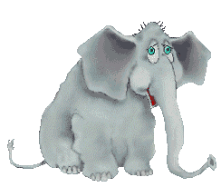 elefant-0054