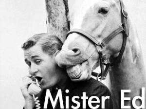 mr ed