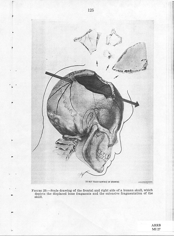skull-fragmentation