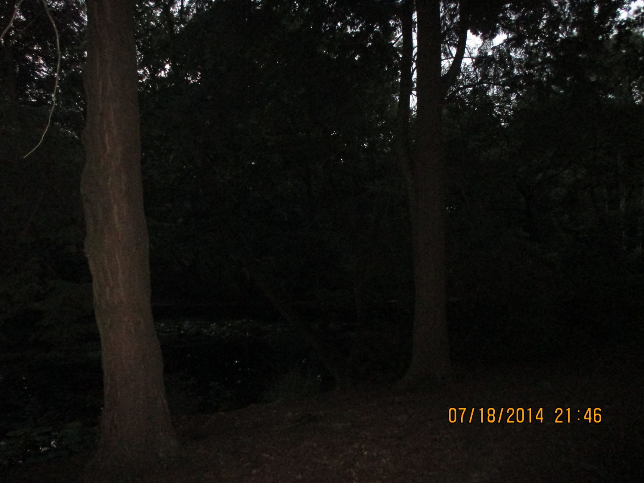 Bilder-Thread 10511467 781902008497267 310180011214813