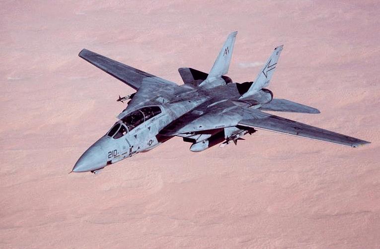 f-14-dvic223