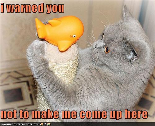 Bilder-Thread tfKOWHQ funny-pictures-i-warned-you-not-to-make-