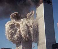sept11 twin3