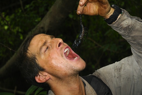 bear-grylls-scorpion