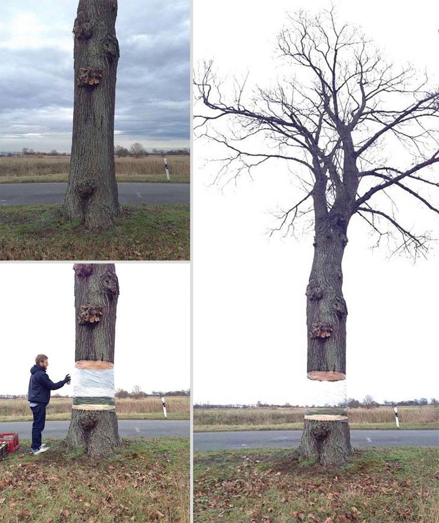 Bilder-Thread painted-hovering-tree-illusion-daniel-si