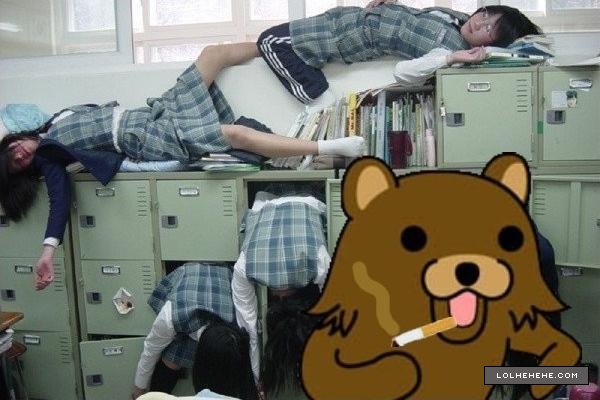 pedo bear japanese school